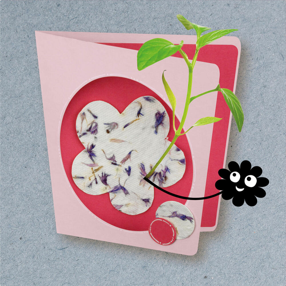 KOSMOS AllesKönnerKiste Blühendes Papier, Experimentierkasten, Bastelbox, Basteln, DIY, ab 8 Jahren, 604592