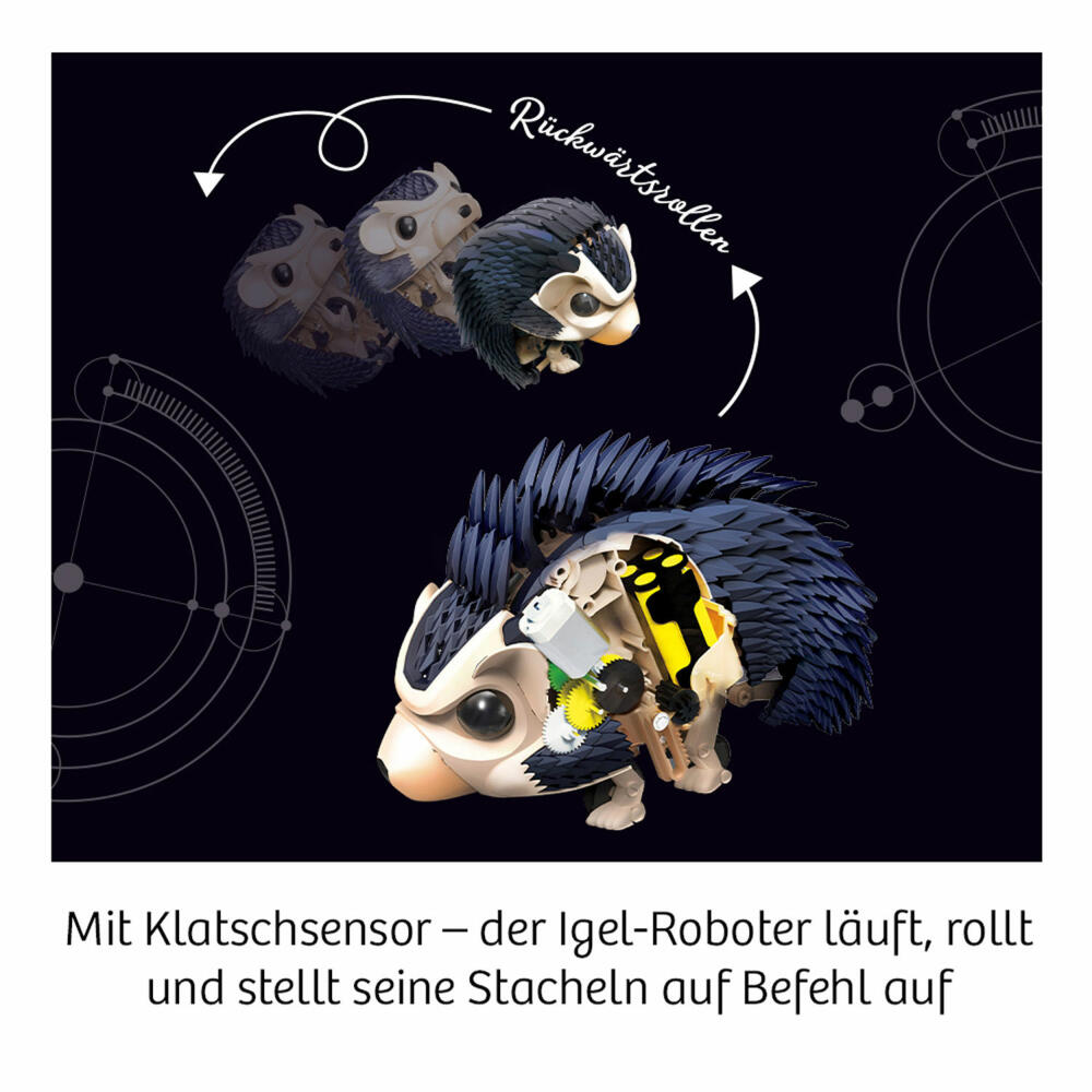 KOSMOS Experimentierkästen Nuna Igel-Roboter, Experimentierkasten, Igel Roboter, Modellbausatz, ab 8 Jahren, 62066