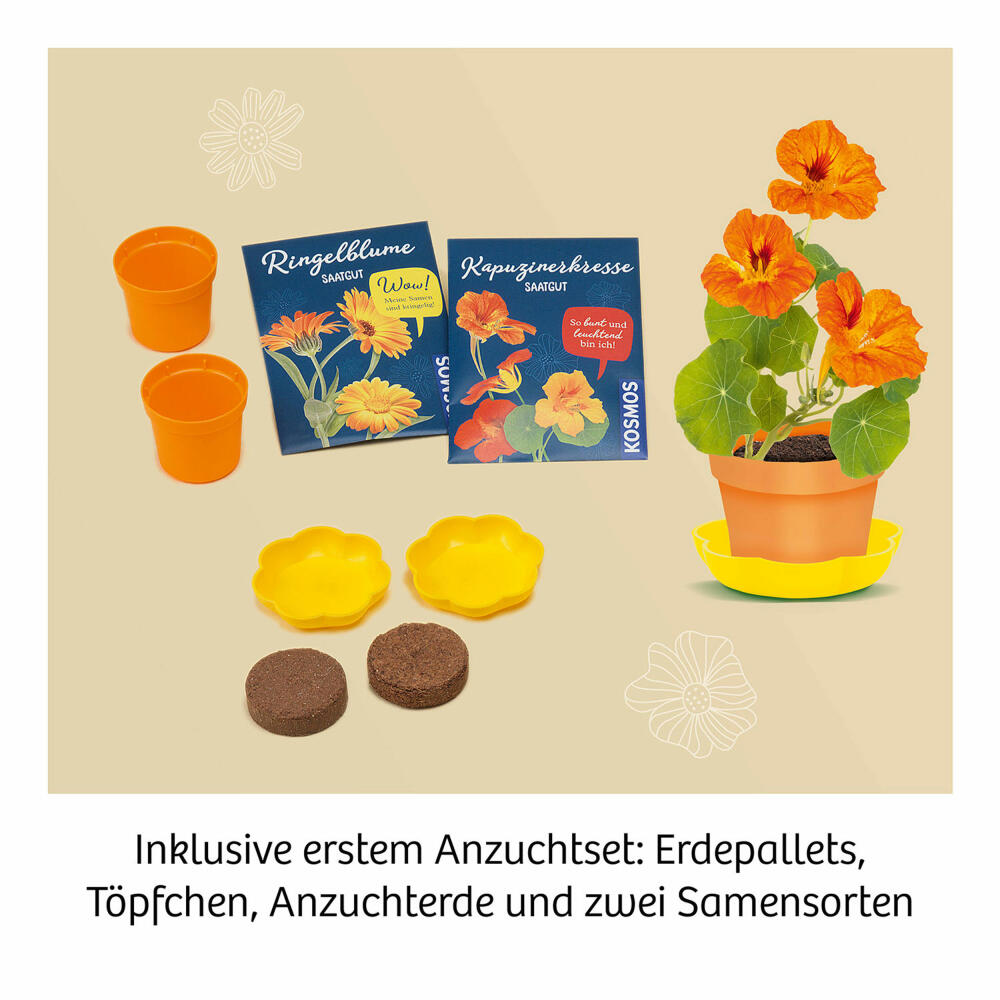 KOSMOS Mitbring-Experimente Blütenpresse, Experimentierkasten, Experimente, Blüten Pressen, Blumen, 658175