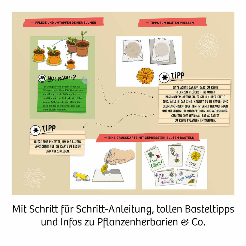 KOSMOS Mitbring-Experimente Blütenpresse, Experimentierkasten, Experimente, Blüten Pressen, Blumen, 658175
