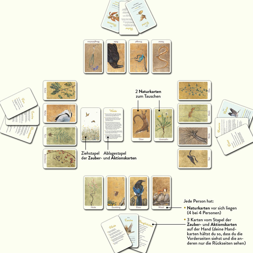 KOSMOS The Lost Words, Card Game, Family Game, Board Game, Card Game, 682132