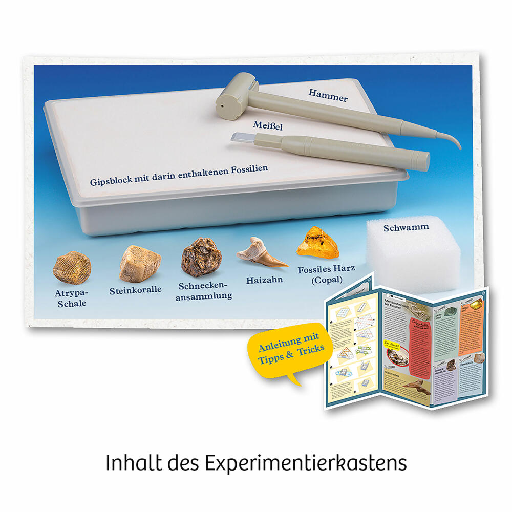 KOSMOS Fossilien, Fossilien Ausgrabungs-Set, Experimentierkasten, Experimentier Kasten, ab 7 Jahren, 657918