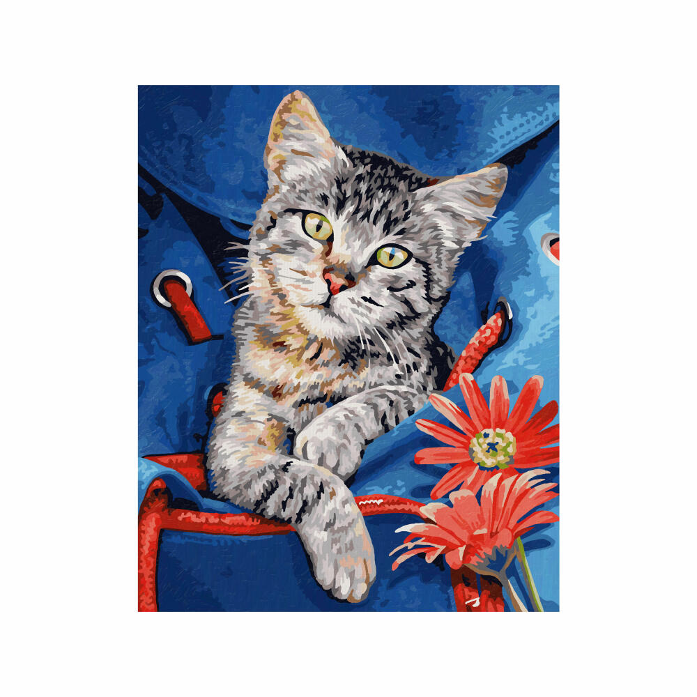 Schipper Painting by Numbers Cat in Backpack, Master Class Classic, Coloring Page, Wall Picture, 24 x 30 cm, 609240842