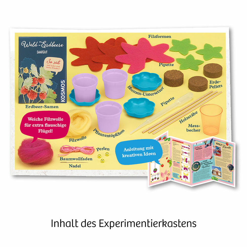 KOSMOS Feen-Erdbeeren, Garten, Gärtnerei, Pflanzen, Beeren, Entdecken, ab 6 Jahren, 657819