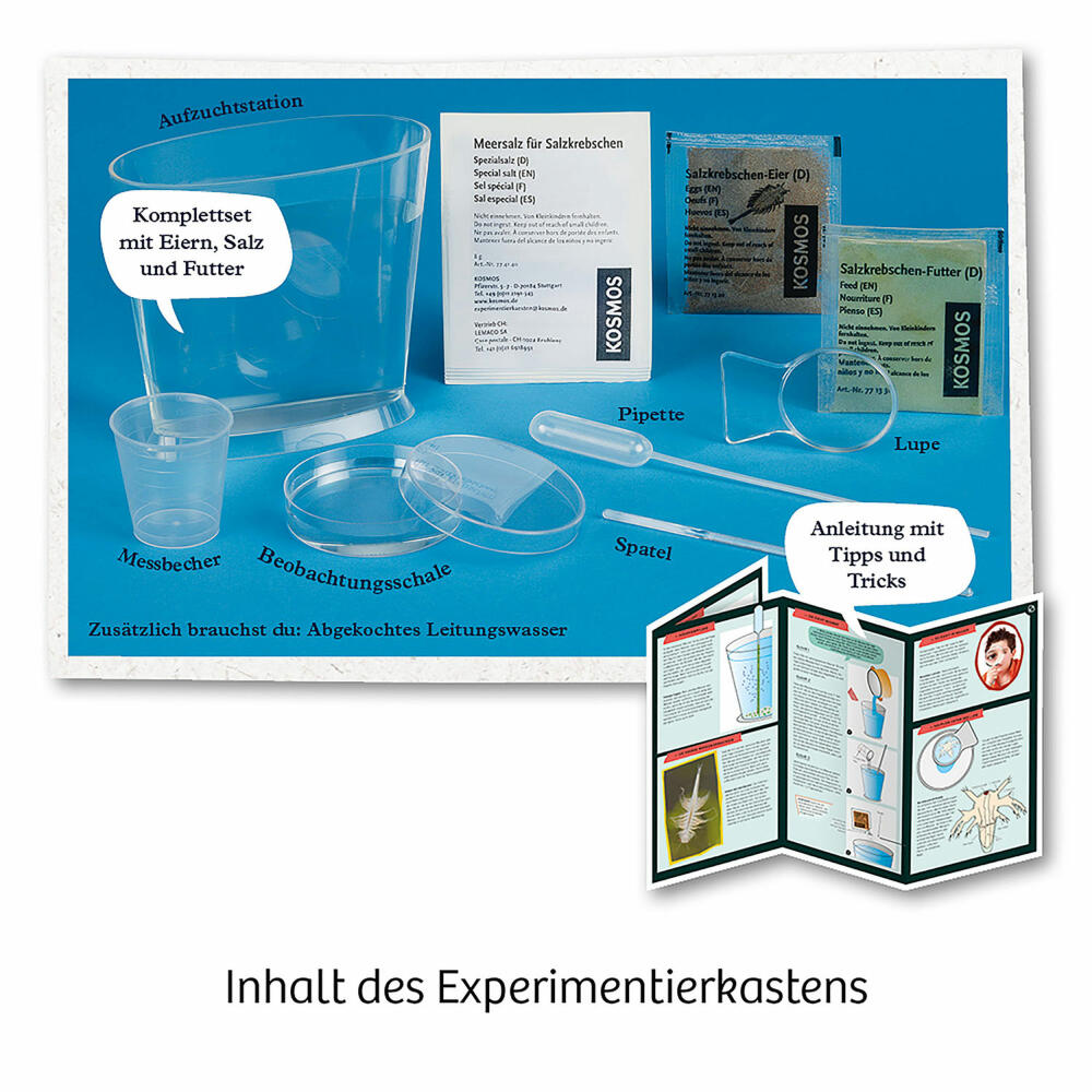 KOSMOS Urzeit-Krebse, Experimentierkasten, Experimentier Kasten, Urzeitkrebse selbst züchten, ab 8 Jahren, 657871