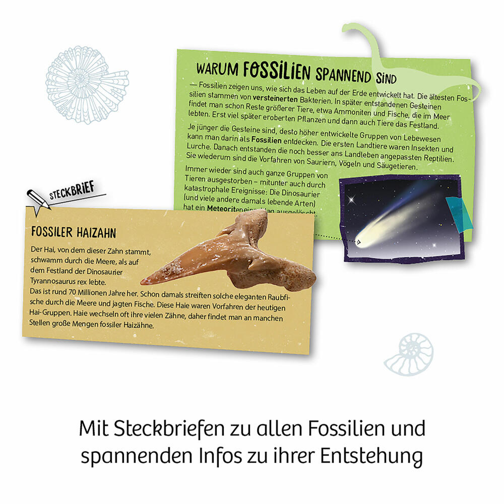 KOSMOS Fossilien, Fossilien Ausgrabungs-Set, Experimentierkasten, Experimentier Kasten, ab 7 Jahren, 657918