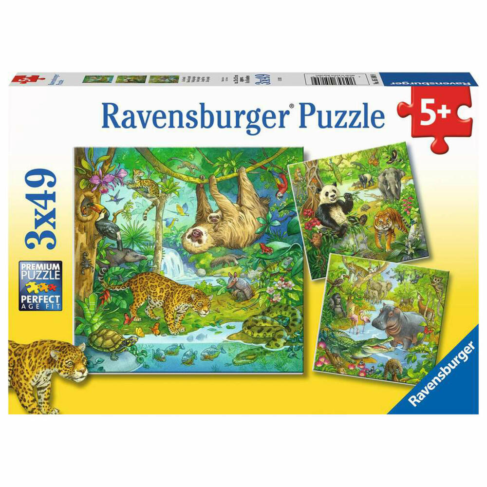 Ravensburger Kinderpuzzle Im Urwald, Puzzle, 3x49 Teile, 05180
