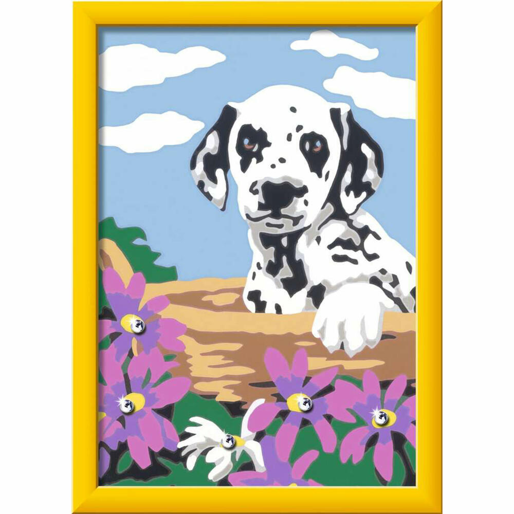 Ravensburger Malen nach Zahlen Dalmatiner Welpe, Mal-Set für Kinder, 20061