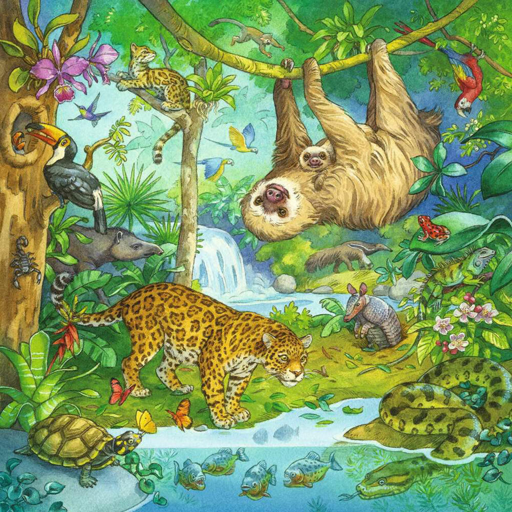 Ravensburger Kinderpuzzle Im Urwald, Puzzle, 3x49 Teile, 05180