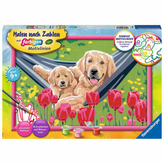Ravensburger Painting by Numbers Cuddle Break, Painting Set for Children, 20164