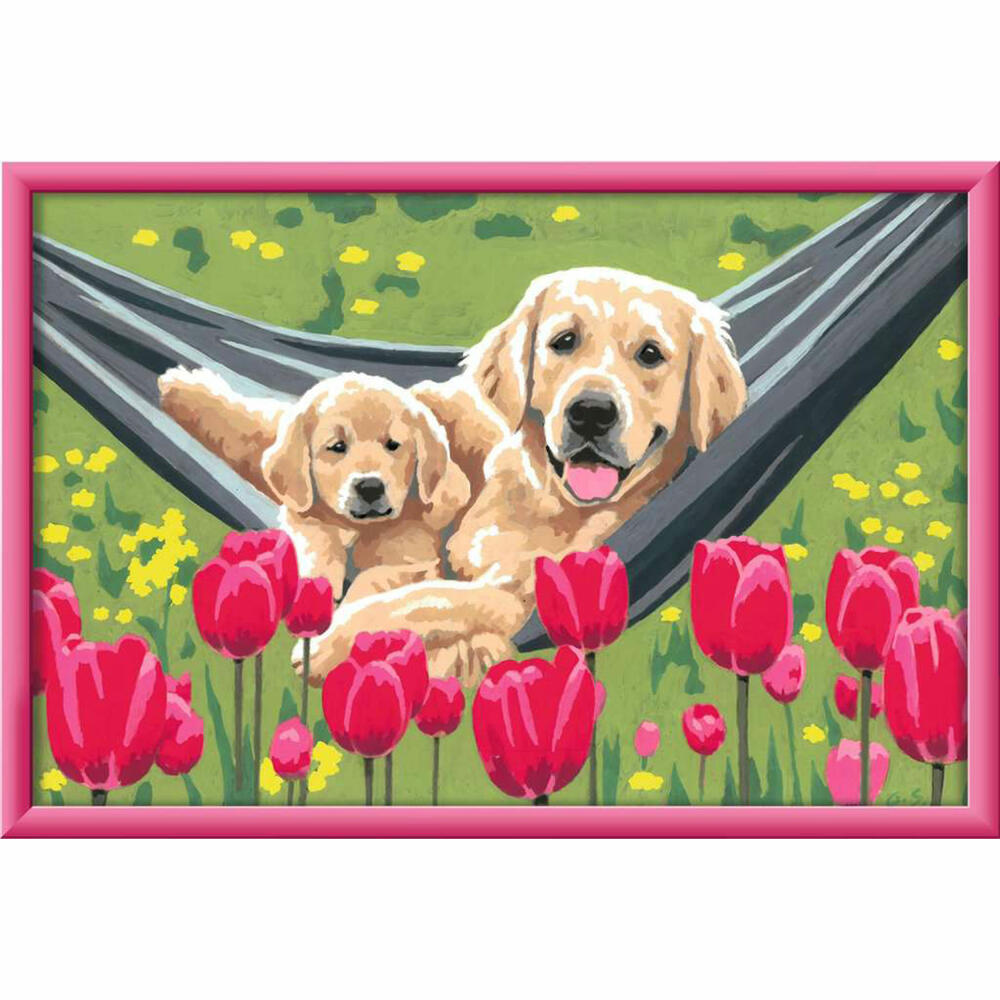 Ravensburger Painting by Numbers Cuddle Break, Painting Set for Children, 20164