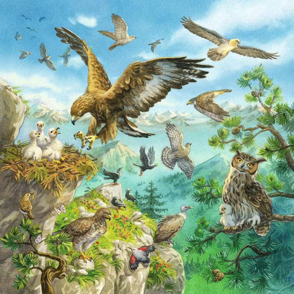 Ravensburger children's puzzle Animals in their habitats, puzzle, 3x49 pieces, 08050