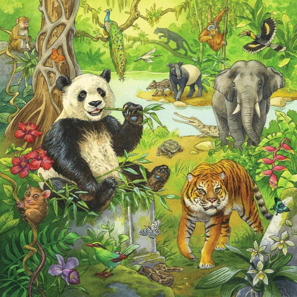 Ravensburger Kinderpuzzle Im Urwald, Puzzle, 3x49 Teile, 05180