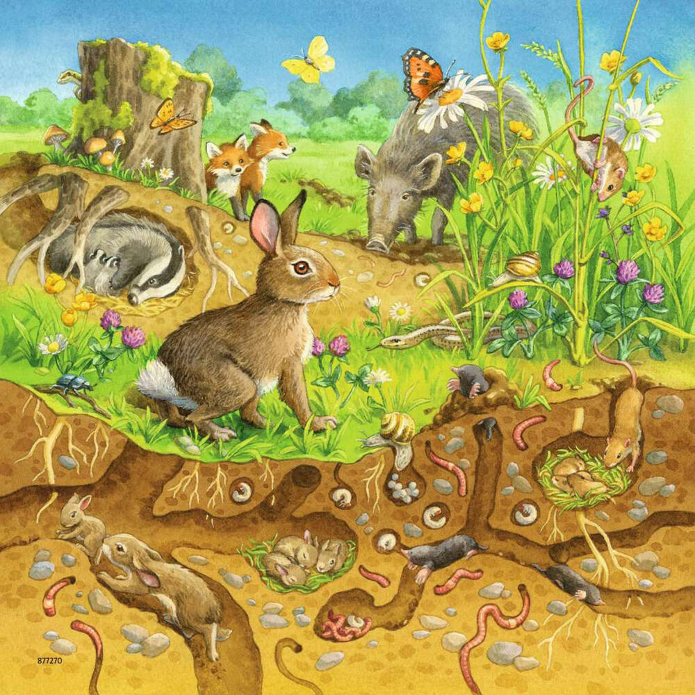 Ravensburger children's puzzle Animals in their habitats, puzzle, 3x49 pieces, 08050