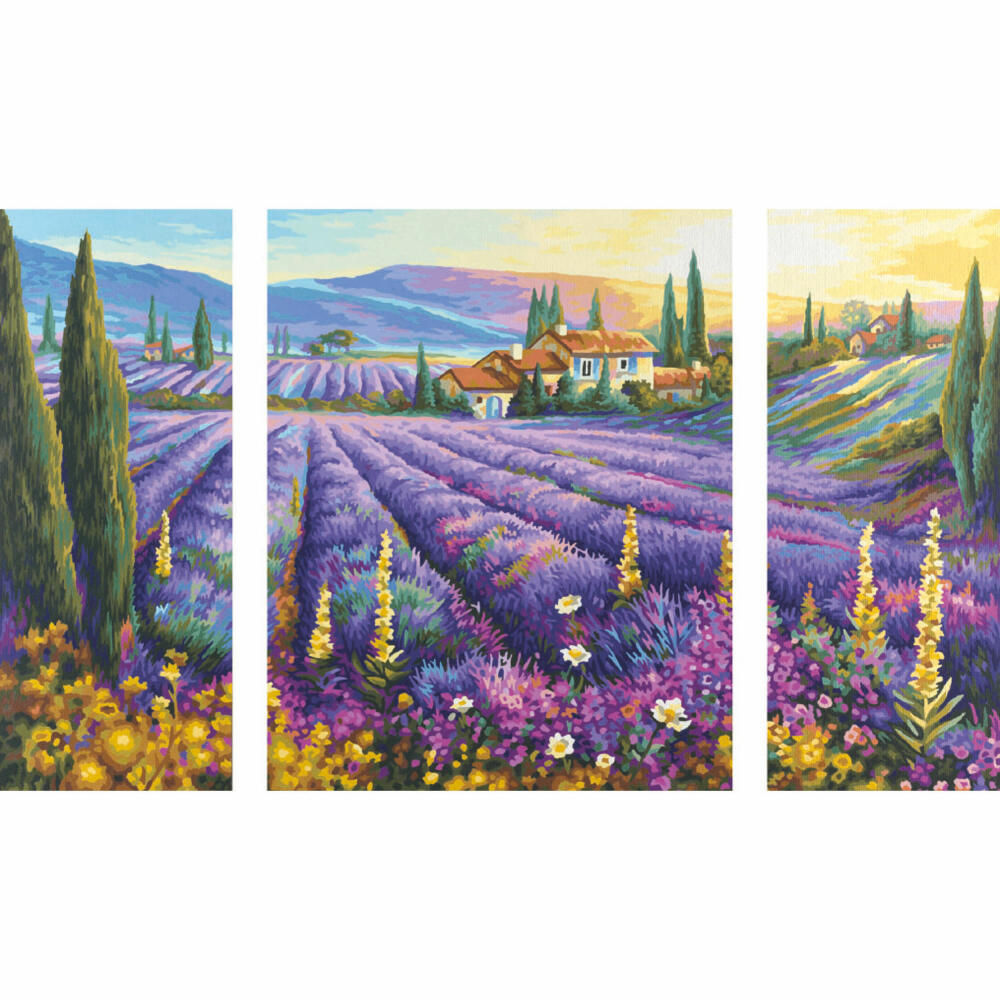 Schipper Painting by Numbers Lavender Fields, Triptych, Triple Image, MNZ, Painting, Picture, 50 x 80 cm, 609260604
