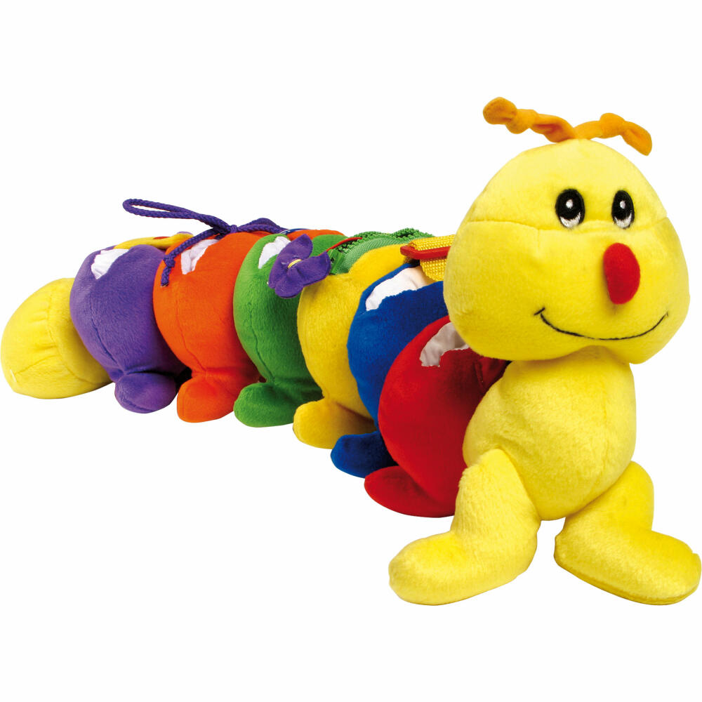 Legler small foot millipede, from 0 months, 5523