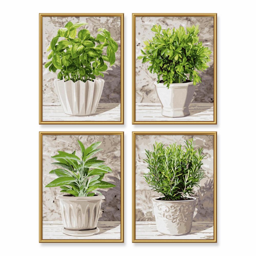 Schipper Painting by Numbers Kitchen Herbs, Quattro, MNZ, Pictures, Paintings, 18 x 24 cm, 4 pieces, 609340687