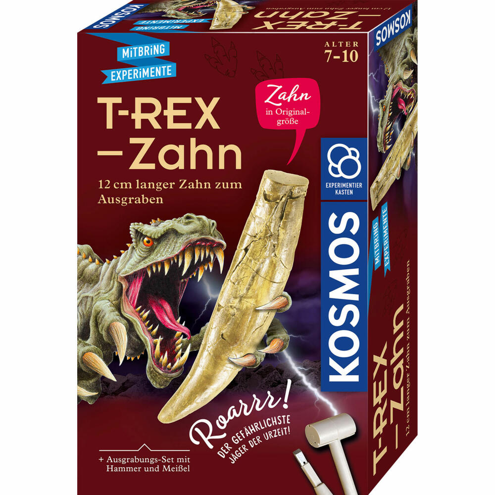 KOSMOS T-Rex Zahn, zum Ausgraben, Experimentierkasten, Ausgrabungs-Set, ab 7 Jahren, 636173