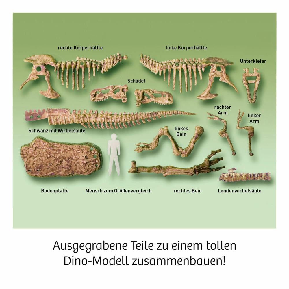 KOSMOS T-Rex 3D, Skelett zum Ausgraben, Experimentierkasten, Ausgrabungs-Set, ab 7 Jahren, 636159