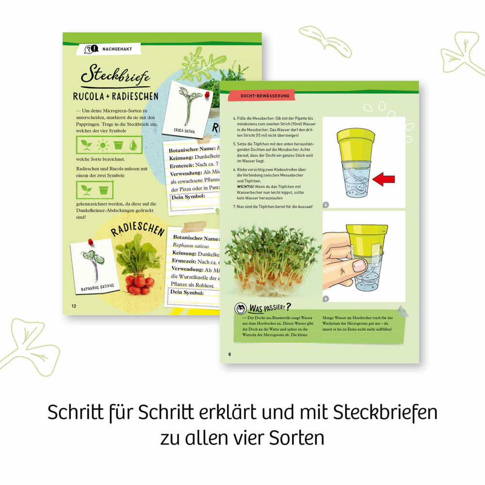 KOSMOS Microgreen-Garten, Experimentierkasten, Pflanzen züchten, Anzuchtset, Mini Garten, ab 6 Jahren, 636135