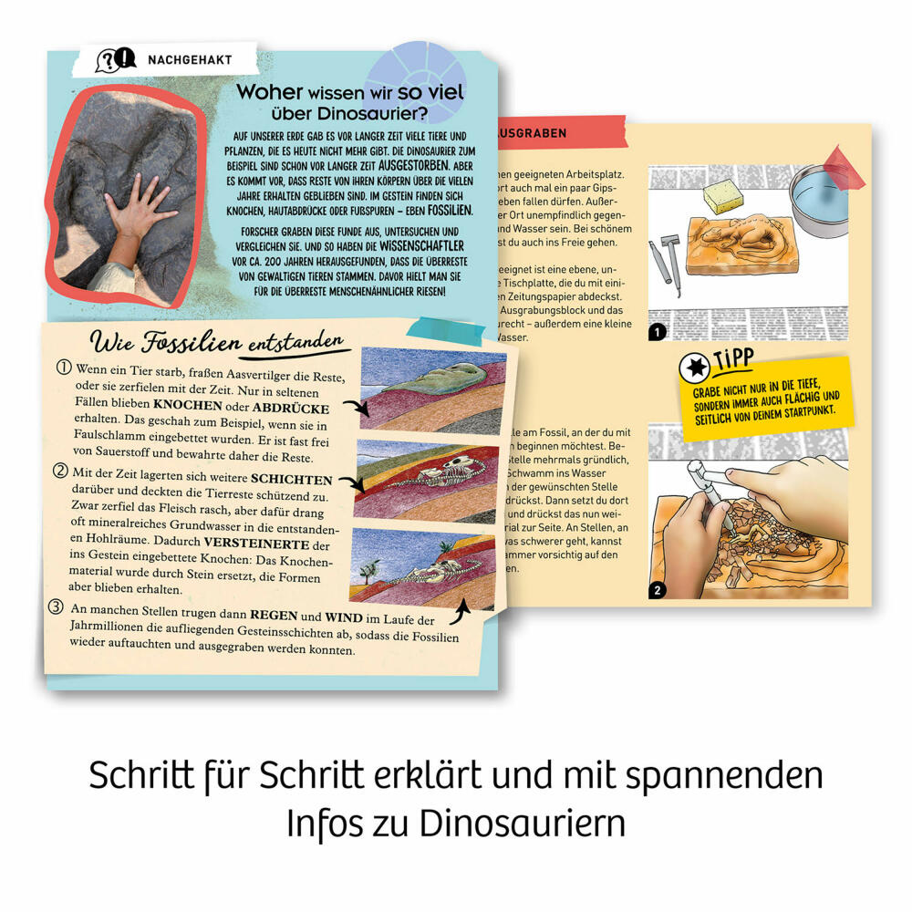 KOSMOS T-Rex 3D, Skelett zum Ausgraben, Experimentierkasten, Ausgrabungs-Set, ab 7 Jahren, 636159