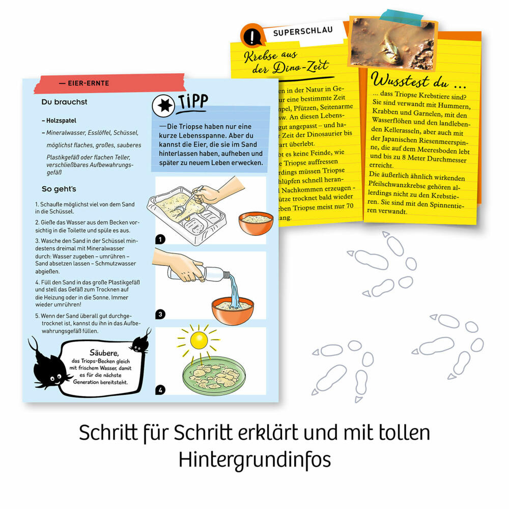 KOSMOS Fun Science Triops züchten, Experimentierkasten, Triops-Zucht, Anzuchtset, ab 8 Jahren, 637231