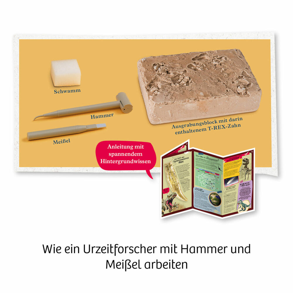 KOSMOS T-Rex Zahn, zum Ausgraben, Experimentierkasten, Ausgrabungs-Set, ab 7 Jahren, 636173
