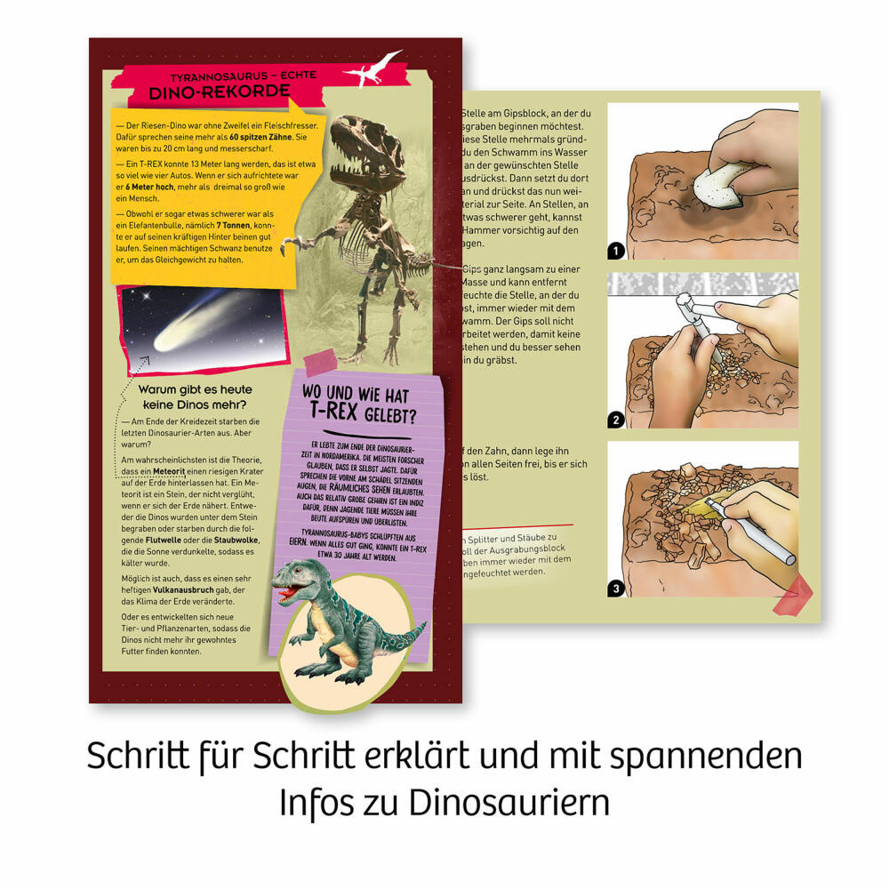 KOSMOS T-Rex Zahn, zum Ausgraben, Experimentierkasten, Ausgrabungs-Set, ab 7 Jahren, 636173
