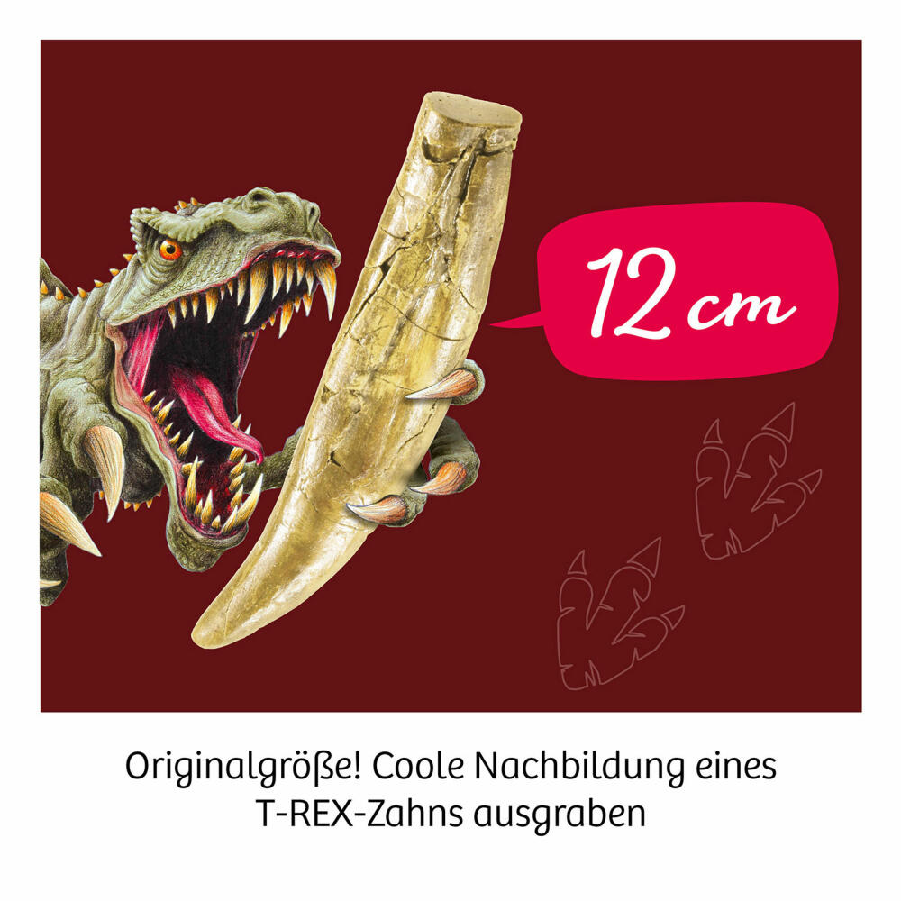 KOSMOS T-Rex Zahn, zum Ausgraben, Experimentierkasten, Ausgrabungs-Set, ab 7 Jahren, 636173