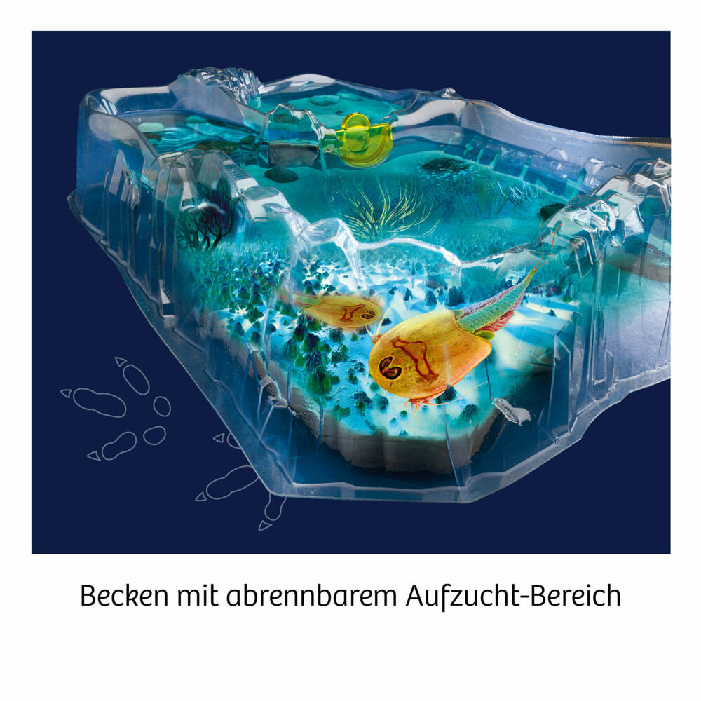 KOSMOS Fun Science Triops züchten, Experimentierkasten, Triops-Zucht, Anzuchtset, ab 8 Jahren, 637231