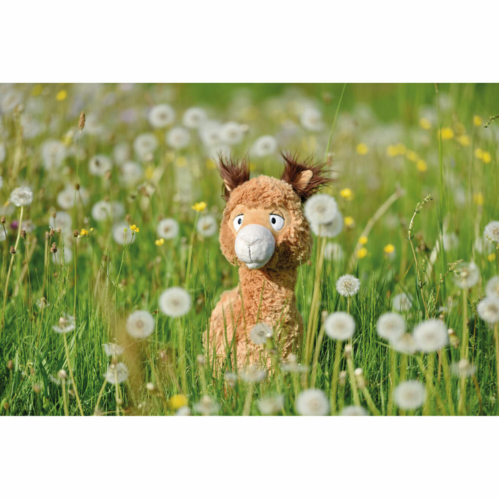 NICI Green Alpaca & Friends Alpaka Al Paka Stehend, Kuscheltier, Plüschtier, Stofftier, 35 cm, 48606