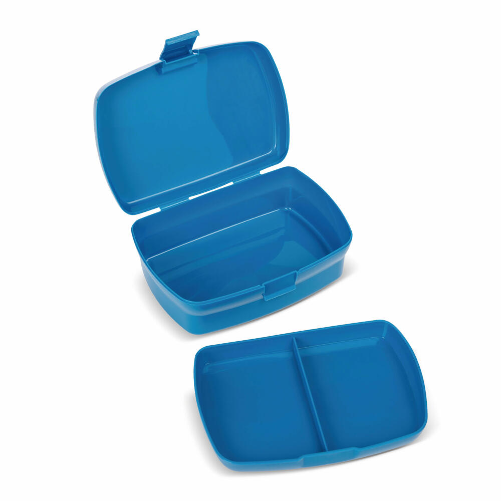 NICI Wild Friends Brotdose, mit Einsatz, Frühstückdose, Lunchbox, Brot Dose, Kunststoff, Blau, 18 x 12.5 cm, 47922