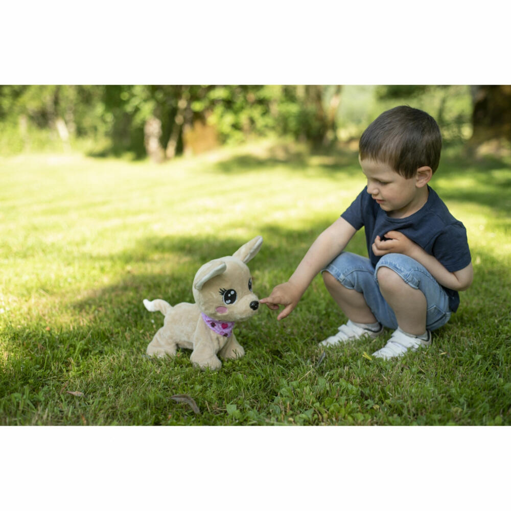 Simba ChiChi Love Baby Boo, interactive dog, toy with functions, Chihuahua, 105893500