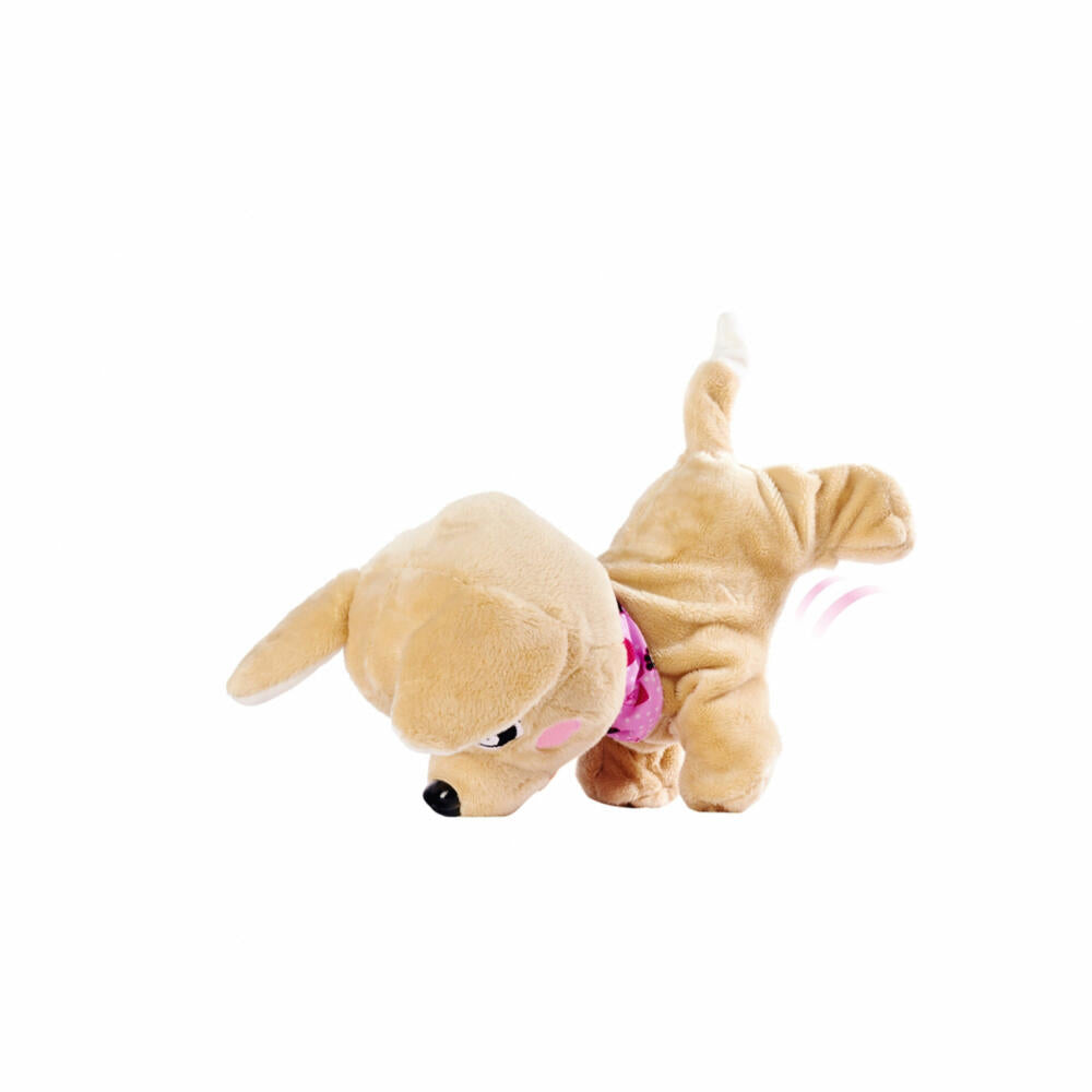 Simba ChiChi Love Baby Boo, interactive dog, toy with functions, Chihuahua, 105893500