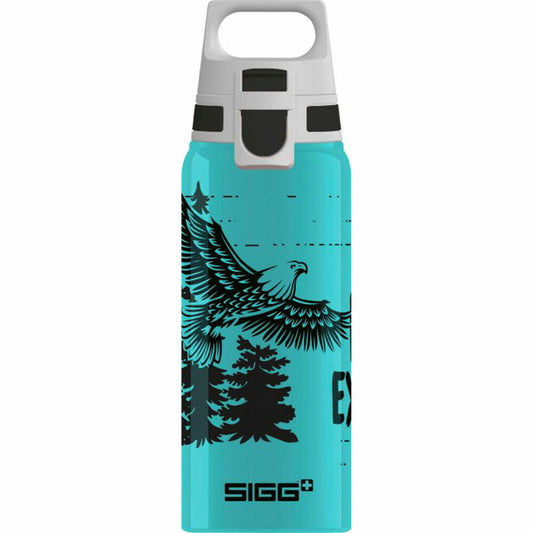 SIGG BRAVE EAGLE drinking bottle, bottle, water bottle, aluminum, 600 ml, 9002.4