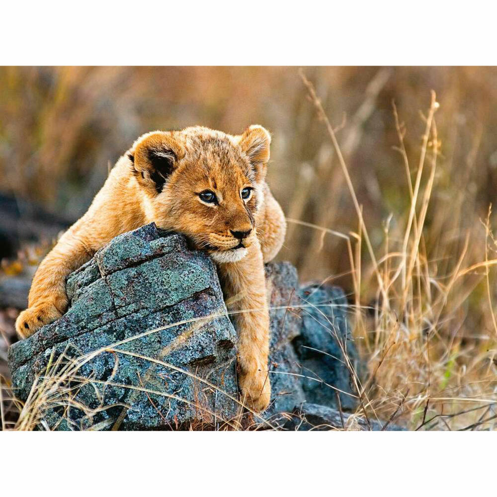 Ravensburger Children's Puzzle Little Lion, Puzzle with XXL Pieces, 200 XXL Pieces, 12946