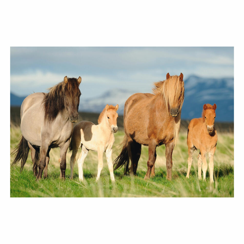 Schmidt Spiele Horses Horse Family, Children's Puzzle, 200 Pieces, Puzzle, Puzzle Game, From 8 Years, 56199