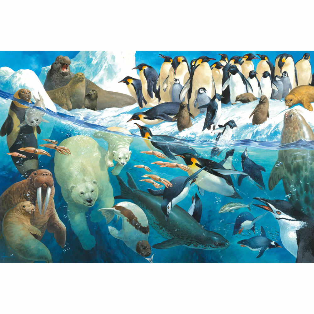 Schmidt Spiele Animals at the Arctic Circle, 100 pieces, children's puzzle, children's puzzle, plug-in puzzle, 56295