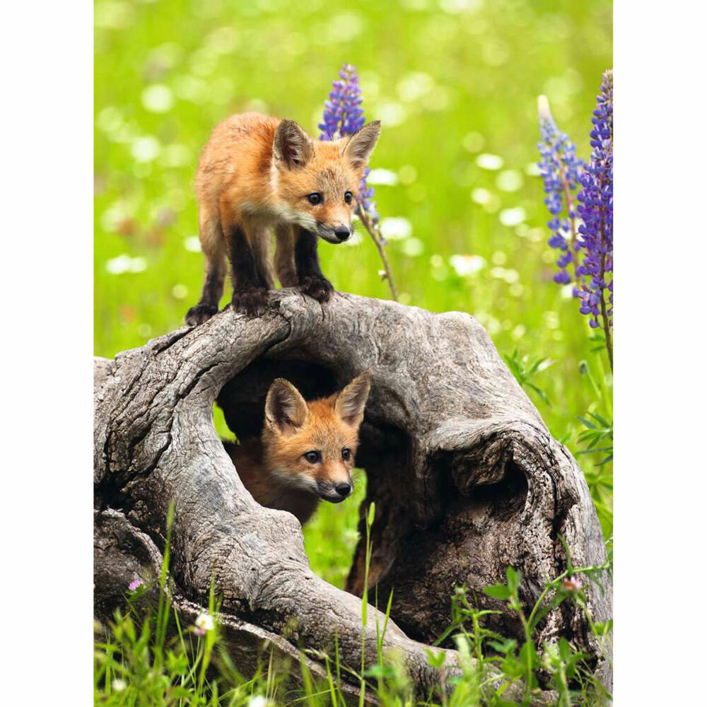 Ravensburger Freche Füchse, 300 Teile XXL, Kinderpuzzle, Kinder Puzzle, ab 9 Jahren, 12000871