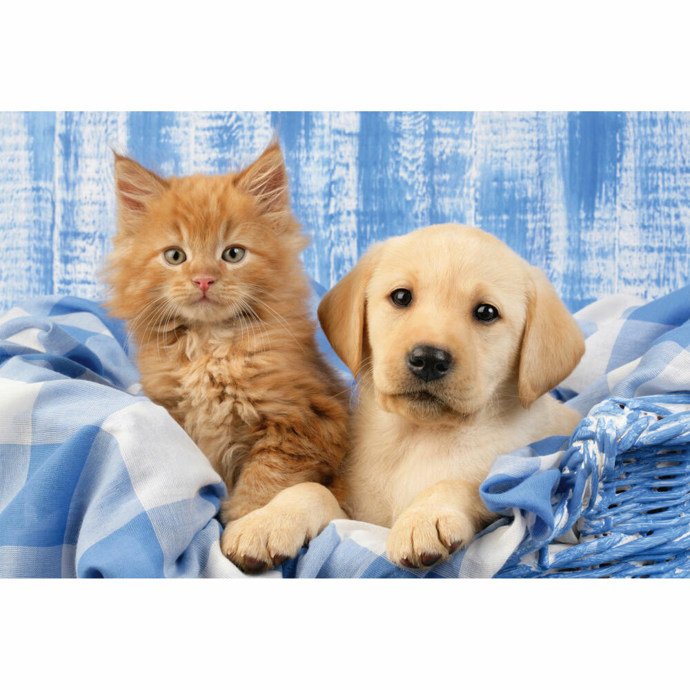 Schmidt Spiele Children's Puzzle Standard My Favorite Pet Babies, Children's Puzzle, 3 x 48 pieces, 56361