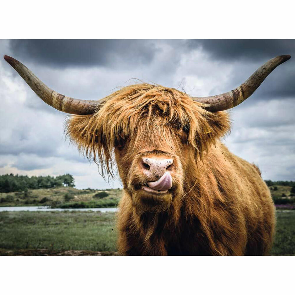 Ravensburger Puzzle Moment Highland Cattle, Erwachsenenpuzzle, Kurzpuzzle, 300 Teile, 13273