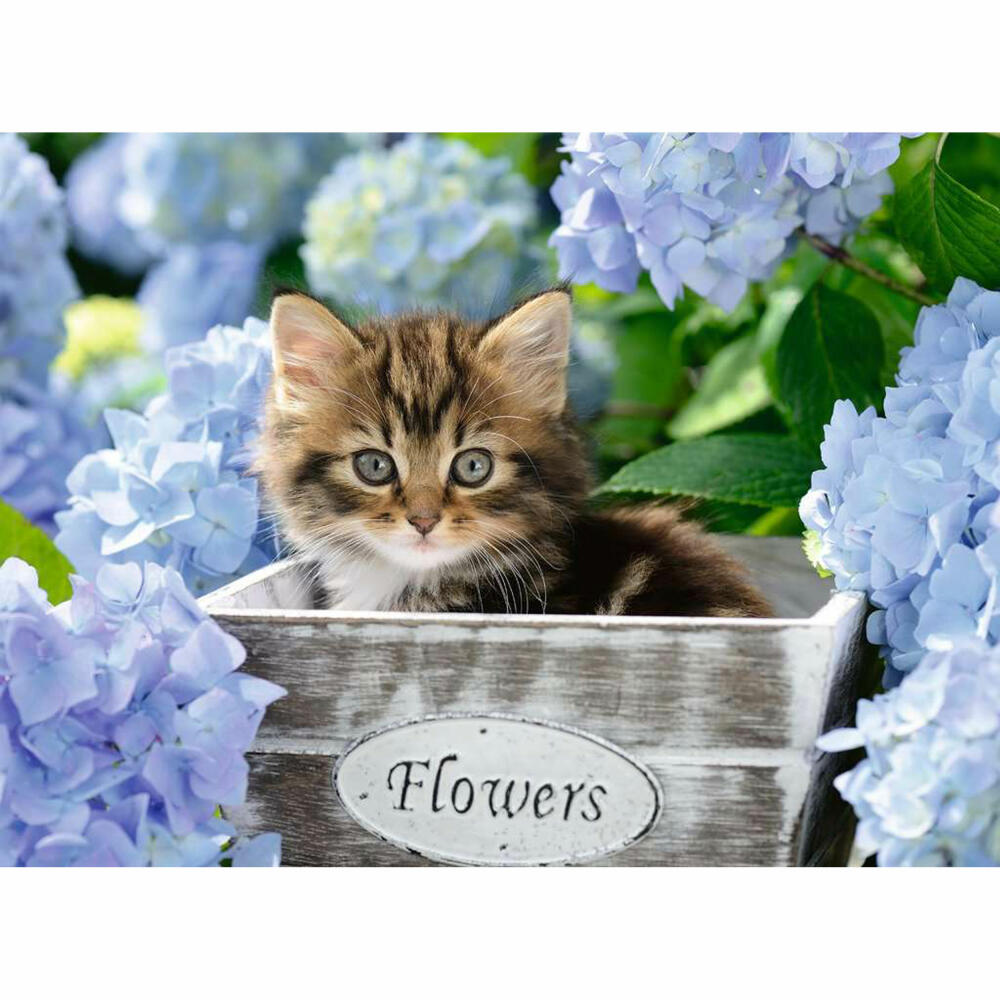 Ravensburger Children's Puzzle Little Cat, Puzzle with XXL Pieces, 300 XXL Pieces, 12894