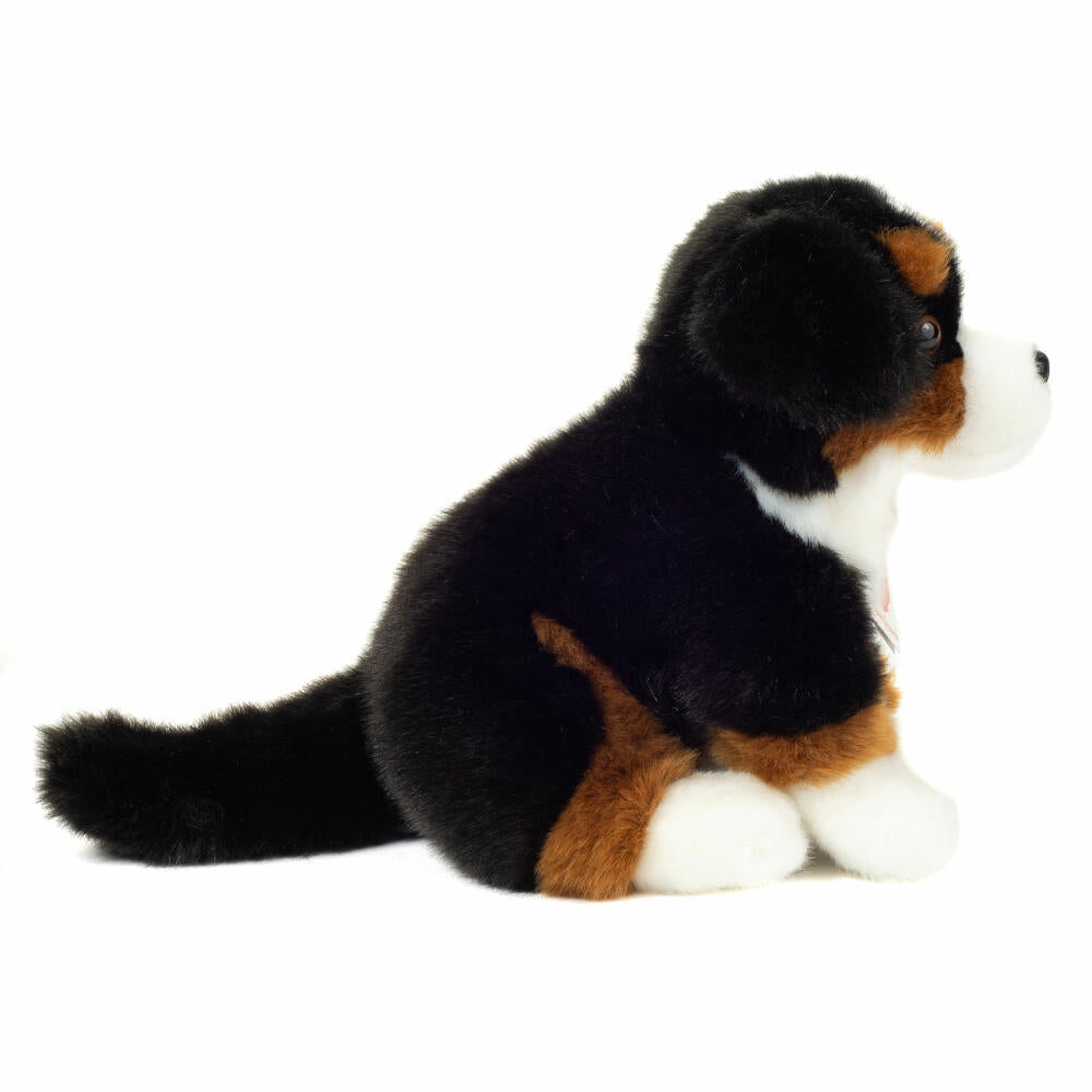 Teddy Hermann Berner Sennenhund sitzend, Kuscheltier, Stofftier, Plüschtier, Hund, Plüsch, 21 cm, 919728