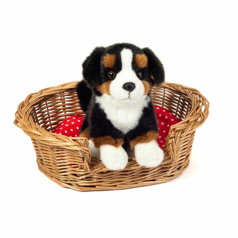 Teddy Hermann Berner Sennenhund sitzend, Kuscheltier, Stofftier, Plüschtier, Hund, Plüsch, 21 cm, 919728