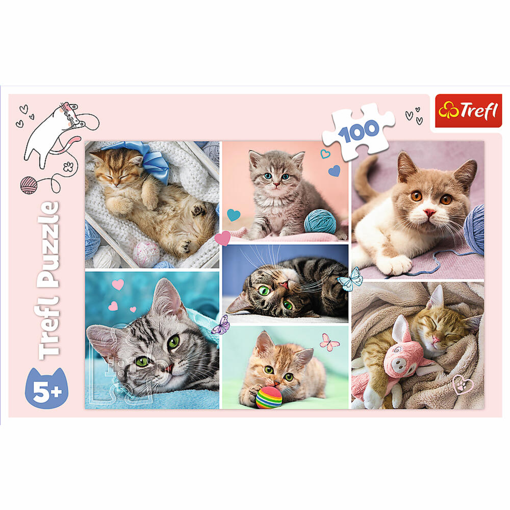 Trefl Puzzle Cat World, children's puzzle, 100 pieces, 41 x 27.5 cm, 16420