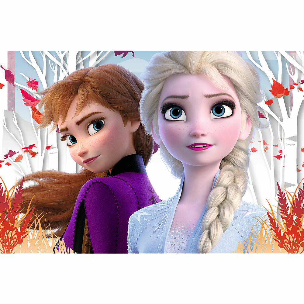 Trefl Puzzle Disney Frozen 2, children's puzzle, 60 pieces, 33 x 22 cm, 17333