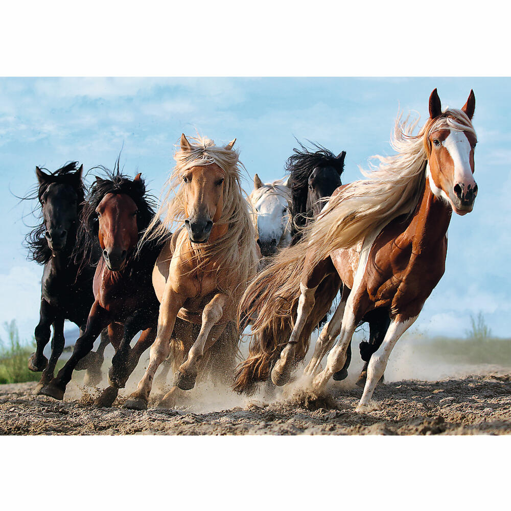 Trefl Puzzle Galoppierende Pferde, 1000 Teile, 68.3 x 48 cm, 10446