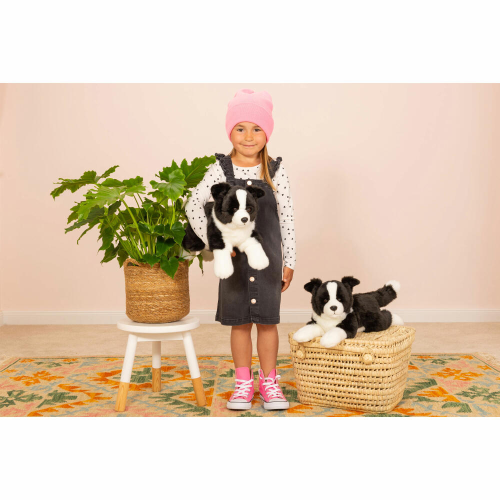 Teddy Hermann Border Collie Liegend, Kuscheltier, Stofftier, Plüschtier, Hund, Plüsch, 45 cm, 919612
