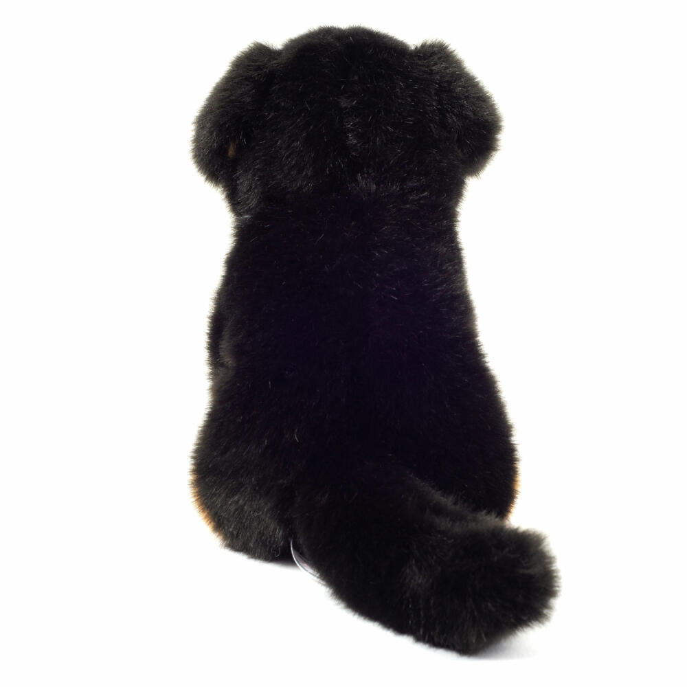 Teddy Hermann Berner Sennenhund sitzend, Kuscheltier, Stofftier, Plüschtier, Hund, Plüsch, 21 cm, 919728
