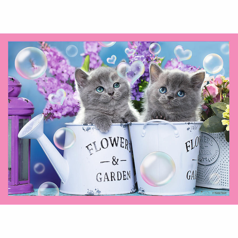 Trefl 4 in 1 puzzle - cats, 35 + 48 + 54 + 70 pieces, 28.5 x 20.5 cm, 34396